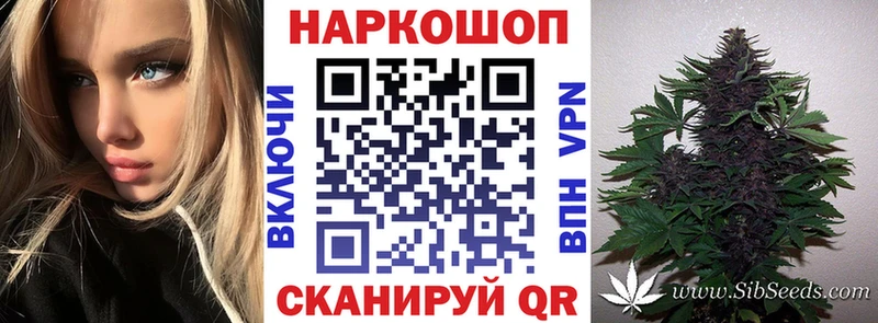 Наркота Сергач Конопля  Гашиш 